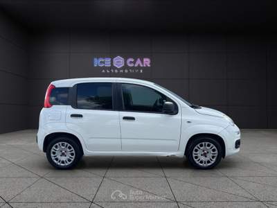 Fiat Panda Panda 1.3 mjt s&s easy Bianco usata Roma