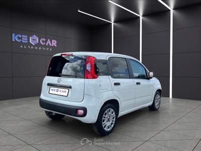 Fiat Panda Panda 1.3 mjt s&s easy Bianco usata Roma