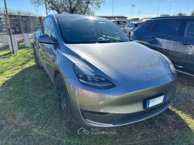 Tesla Model Y  - model y performance dual motor awd Grigio usata Roma