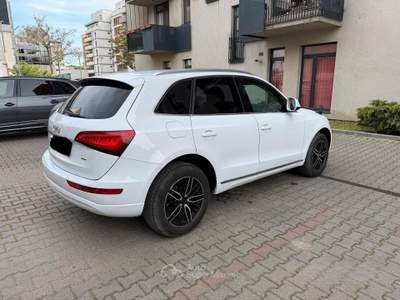 Audi Q5 170 CV quattro S tronic Advanced usata Crocetta del Montello