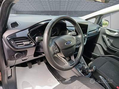 Ford Fiesta 7ª serie 1.1 75 CV 5 porte Titanium usata BARI