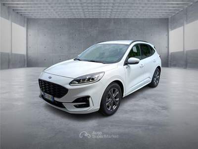 Ford Kuga 3ª serie 2.0 EcoBlue 120 CV aut. 2WD usata BARI