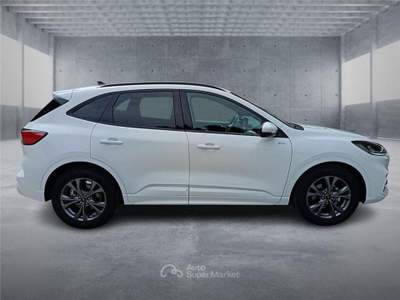 Ford Kuga 3ª serie 2.0 EcoBlue 120 CV aut. 2WD usata BARI