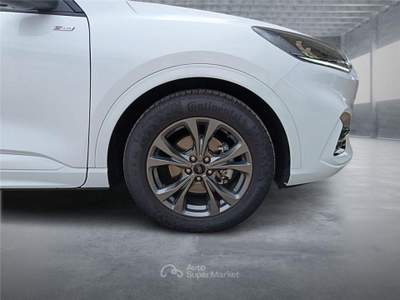 Ford Kuga 3ª serie 2.0 EcoBlue 120 CV aut. 2WD usata BARI