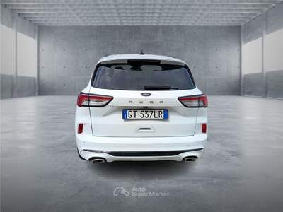 Ford Kuga 3ª serie 2.0 EcoBlue 120 CV aut. 2WD usata BARI