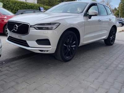Volvo XC60 2WD Geartronic Momentum Harman-Kardon Bianco usata Sant'Angelo in vado