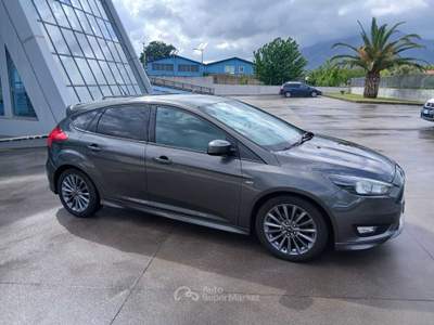 Ford Focus Ford Focus 1.5 TDCi ST-Line 120cv Grigio usata SAN MARTINO VALLE CAUDINA
