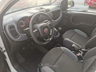 Fiat Panda FIAT PANDA 4X4 1.3 MJT Bianco usata CASSINO