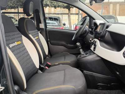 Fiat Panda 1000 HYBRID PANDINA 70 CV CARPLAY PDC ITALIA Verde usata Vetralla