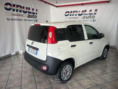 Fiat Panda 1.2 Pop Van 2 posti Bianco usata San Cesareo