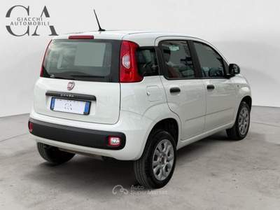 Fiat Panda 0.9 t.air t. natural power Easy 80cv usata Rovigo