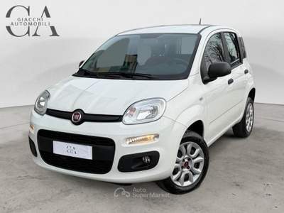 Fiat Panda 0.9 t.air t. natural power Easy 80cv usata Rovigo