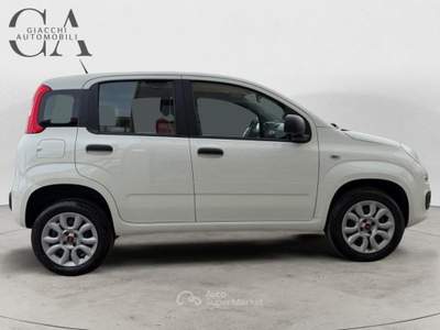 Fiat Panda 0.9 t.air t. natural power Easy 80cv usata Rovigo