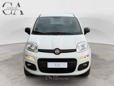 Fiat Panda 0.9 t.air t. natural power Easy 80cv usata Rovigo