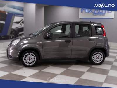 Fiat Panda 1.0 Firefly Hybrid 70CV 5 Portei Grigio usata Latina