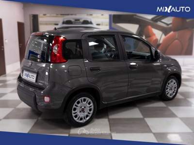 Fiat Panda 1.0 Firefly Hybrid 70CV 5 Portei Grigio usata Latina