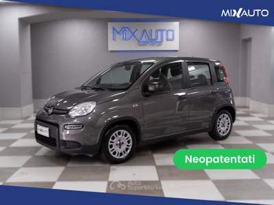 Fiat Panda 1.0 Firefly Hybrid 70CV 5 Portei Grigio usata Latina