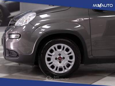 Fiat Panda 1.0 Firefly Hybrid 70CV 5 Portei Grigio usata Latina