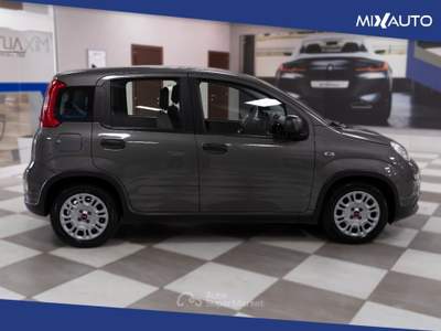 Fiat Panda 1.0 Firefly Hybrid 70CV 5 Portei Grigio usata Latina