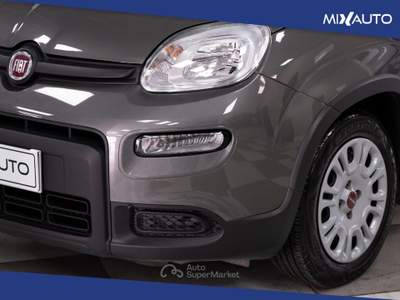 Fiat Panda 1.0 Firefly Hybrid 70CV 5 Portei Grigio usata Latina