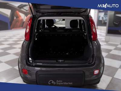 Fiat Panda 1.0 Firefly Hybrid 70CV 5 Portei Grigio usata Latina