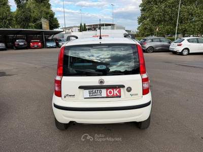 Fiat Panda Dynamic Natural Power usata Villafranca di Verona