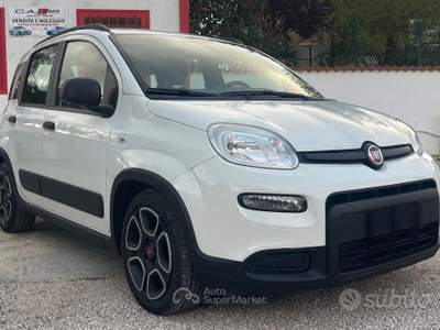 Fiat Panda FireFly S&S Hybrid City Life usata Anzio