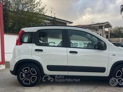Fiat Panda FireFly S&S Hybrid City Life usata Anzio