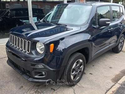 Jeep Renegade 4WD Active Drive Longi usata Torino