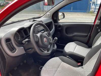 Fiat Panda Lounge usata Rivoli