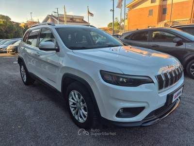 Jeep Cherokee AWD Active Drive I Limited usata Ciampino