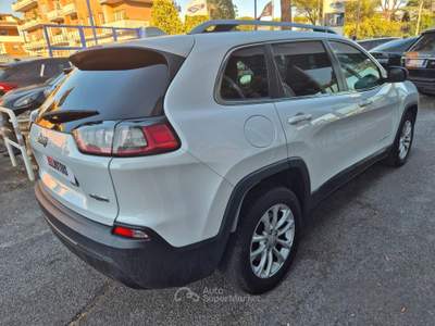 Jeep Cherokee AWD Active Drive I Limited usata Ciampino