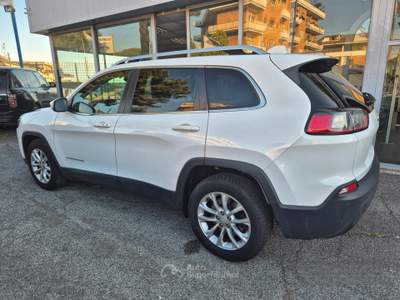 Jeep Cherokee AWD Active Drive I Limited usata Ciampino