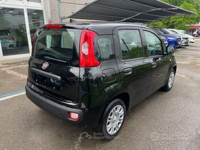 Fiat Panda FireFly S&S Hybrid Pandina KM 0 usata Modena