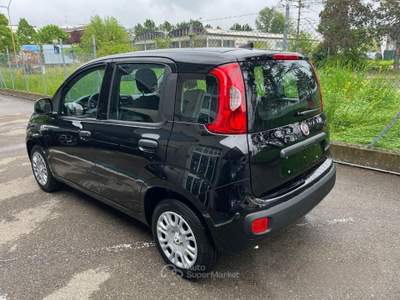 Fiat Panda FireFly S&S Hybrid Pandina KM 0 usata Modena