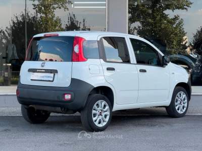 Fiat Panda 0.9 METANO Van 2 posti 85 CV GH243PV usata Paese