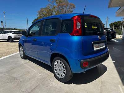 Fiat Panda  Blu/Azzurro usata Alessano
