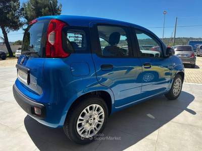 Fiat Panda  Blu/Azzurro usata Alessano