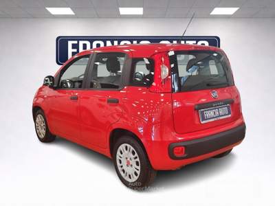 Fiat Panda Easy -UNICO PROPRIETARIO- usata MONTE SAN GIUSTO