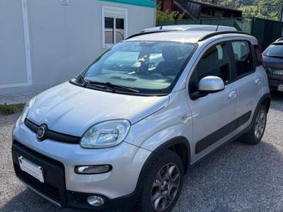 Fiat Panda  1.3 MJT 80 CV S&S 4x4 Grigio usata Paluzza