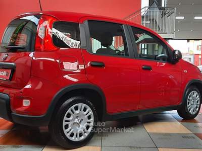 Fiat Panda Panda 1.0 FireFly S&S Hybrid Pop PANDINA DA € 9950 ANCHE A MAGGIO !!! usata Giaveno