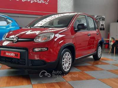 Fiat Panda Panda 1.0 FireFly S&S Hybrid Pop PANDINA DA € 9950 ANCHE A MAGGIO !!! usata Giaveno