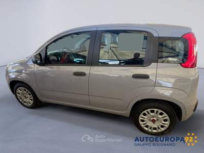 Fiat Panda 1.2 69cv E6 Easy Grigio usata MONOPOLI