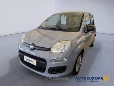 Fiat Panda 1.2 69cv E6 Easy Grigio usata MONOPOLI