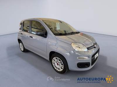 Fiat Panda 1.2 69cv E6 Easy Grigio usata MONOPOLI