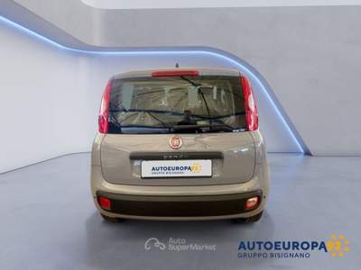Fiat Panda 1.2 69cv E6 Easy Grigio usata MONOPOLI