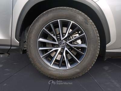 Lexus NX NX 450h+ 2.5 phev Premium 4wd 309cv e-cvt Grigio usata Feltre