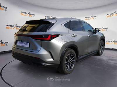 Lexus NX NX 450h+ 2.5 phev Premium 4wd 309cv e-cvt Grigio usata Feltre