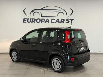 Fiat Panda 1.0 FireFly 70cv S&S Hybrid Nero usata Caresanablot