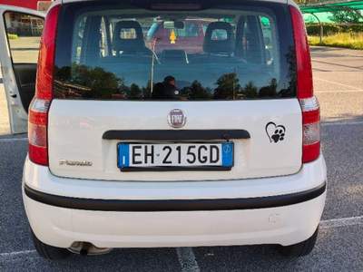 Fiat Panda Fiat Panda Benzina  Bianco usata Varese